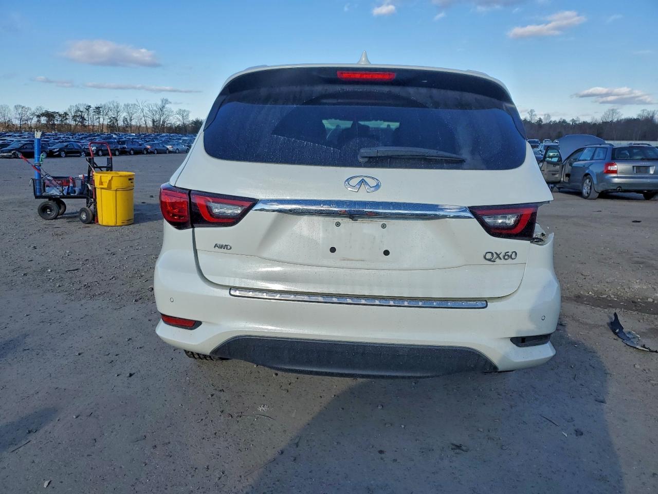 2020 INFINITI QX60 LUXE photo 6