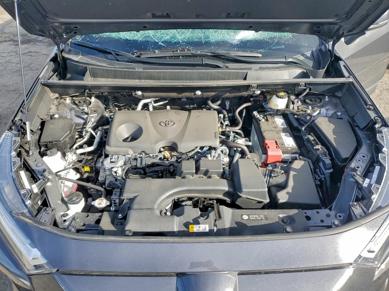 2025 TOYOTA RAV4 XLE photo 12