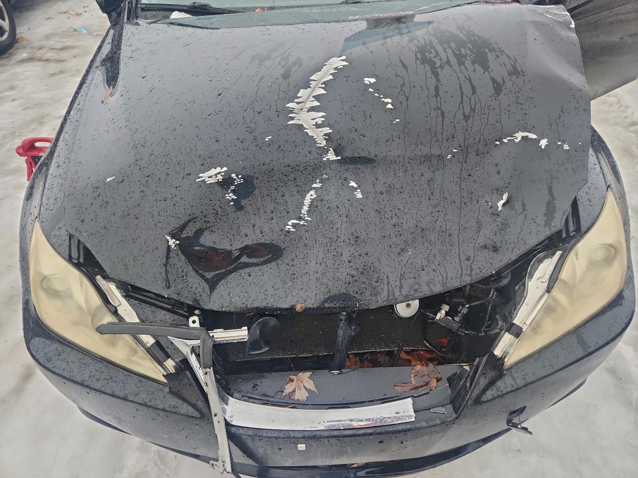 2007 LEXUS IS 250 photo 11