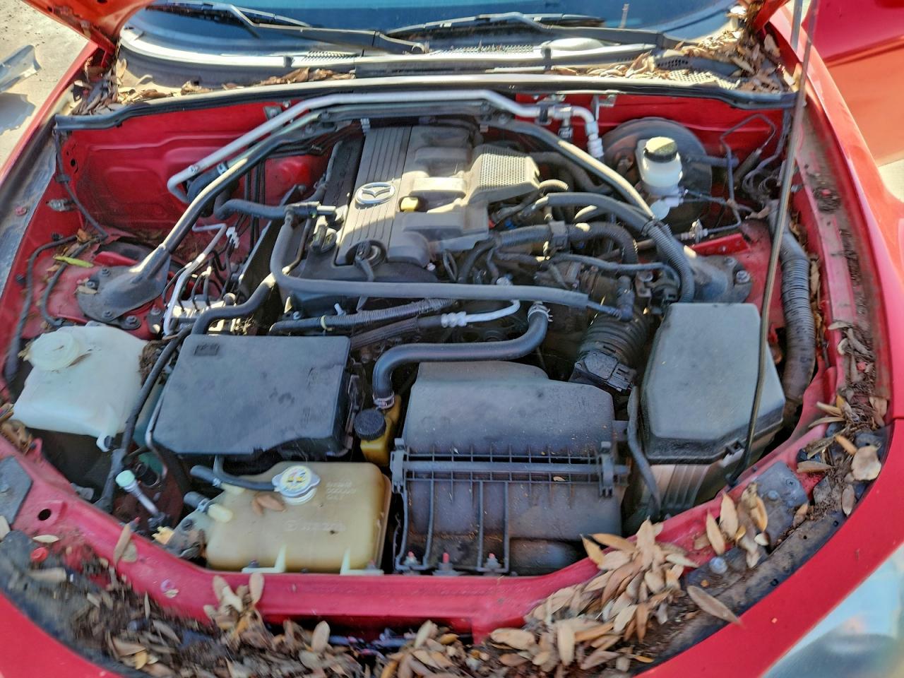 2007 MAZDA MX-5 MIATA photo 7