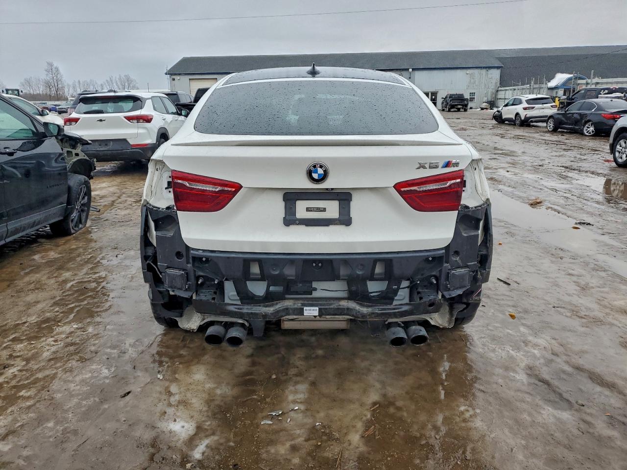 2015 BMW X6 M photo 6