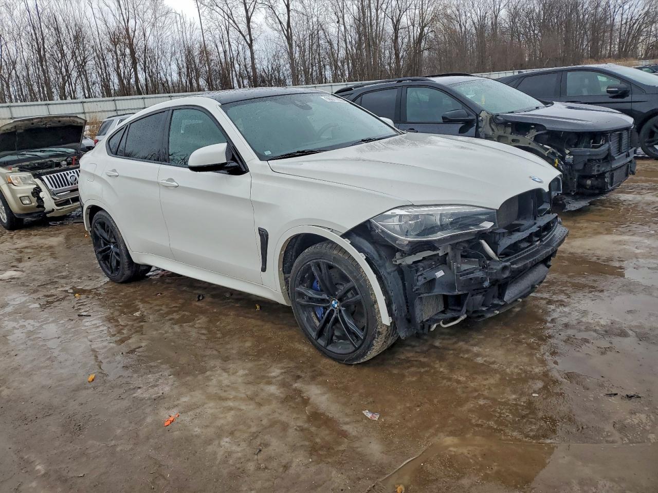 2015 BMW X6 M photo 4