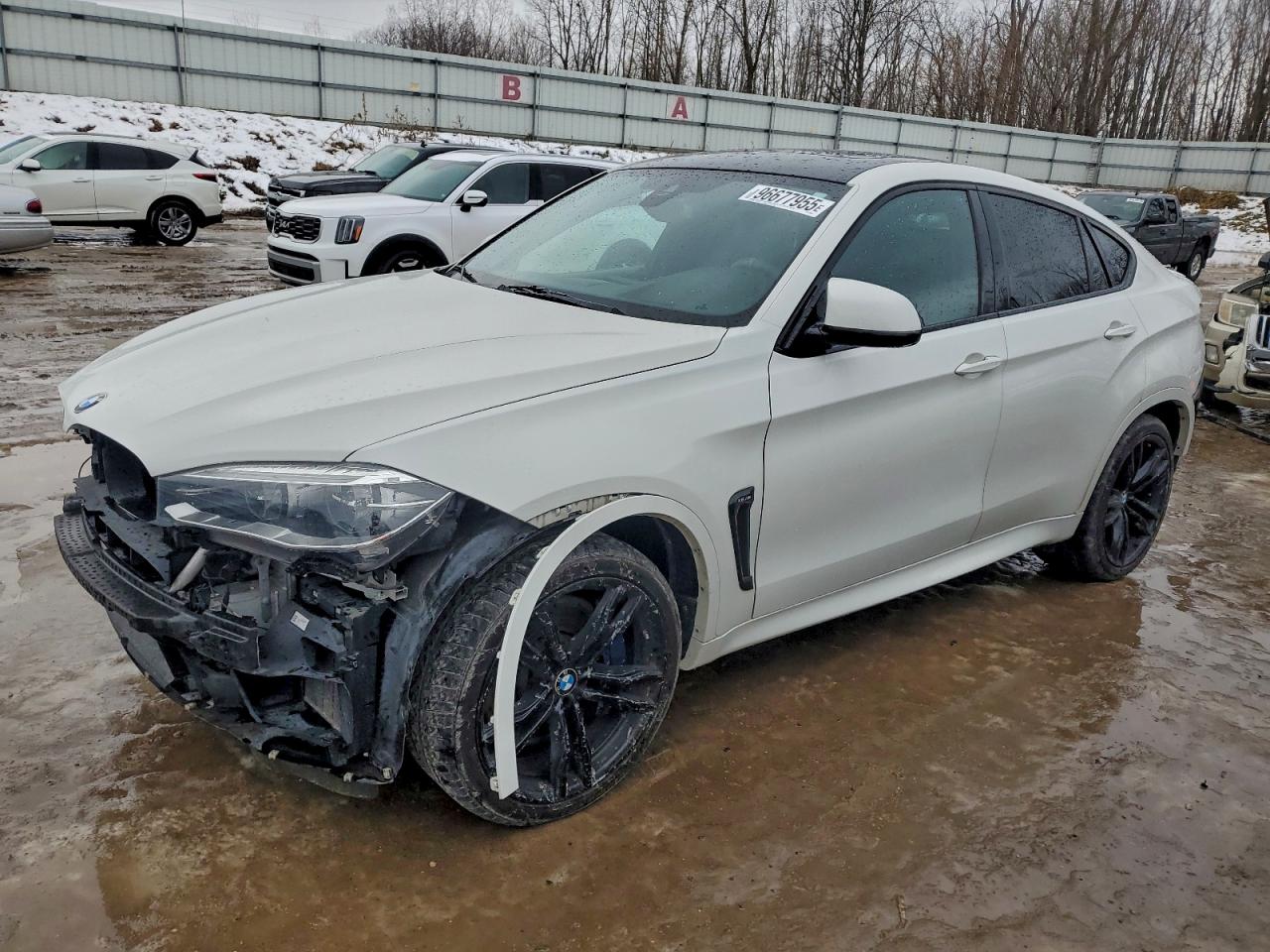 2015 BMW X6