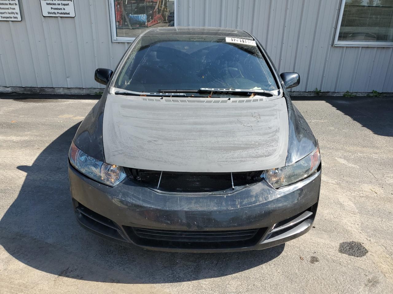 2009 HONDA CIVIC EX photo 5