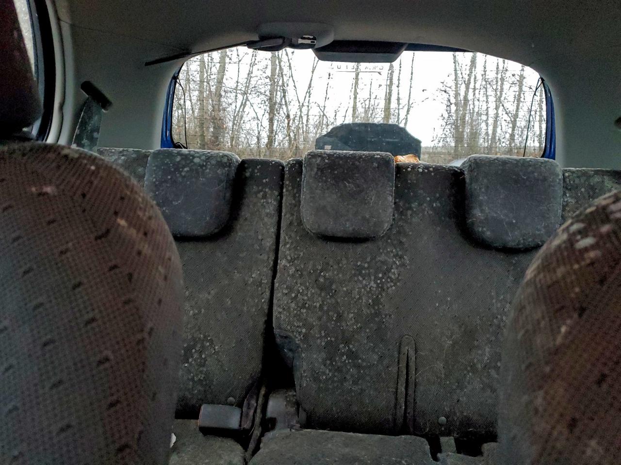 2009 TOYOTA YARIS photo 37