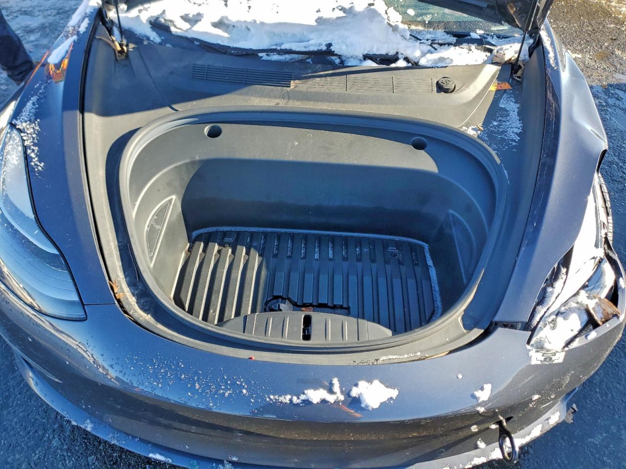 2021 TESLA MODEL 3 photo 11