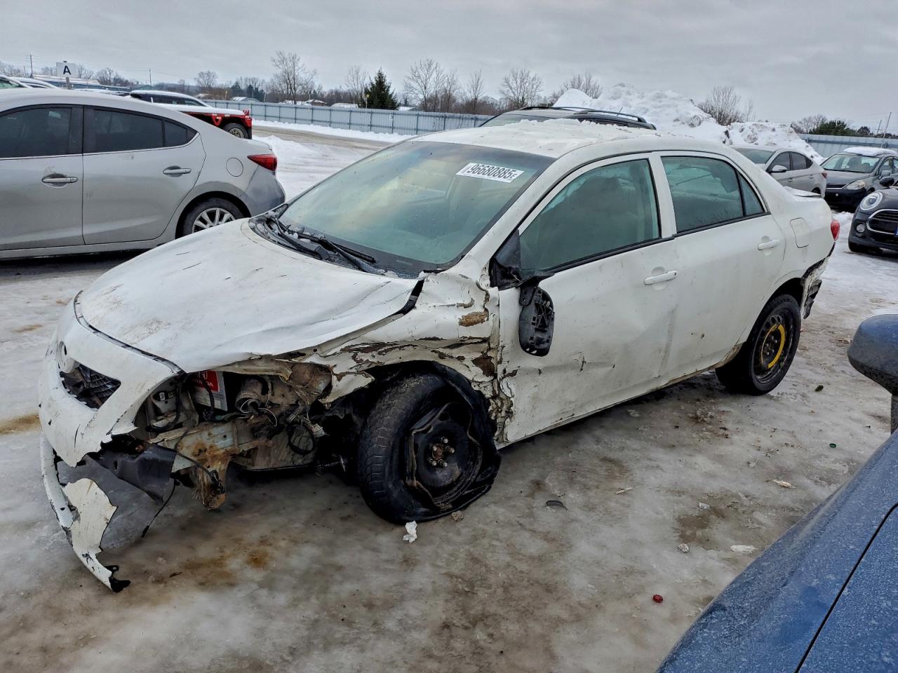 2010 TOYOTA COROLLA