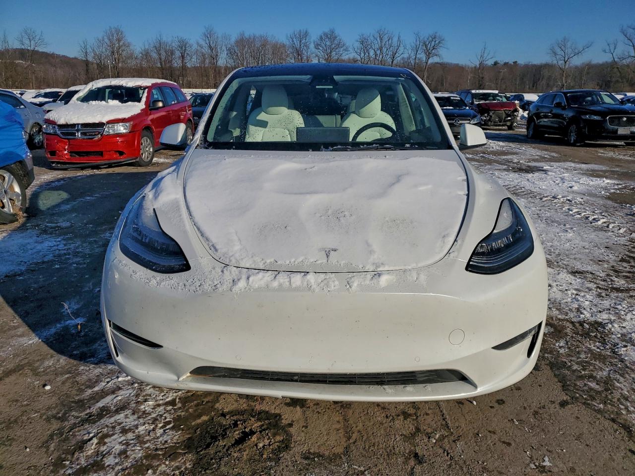 2021 TESLA MODEL Y photo 5