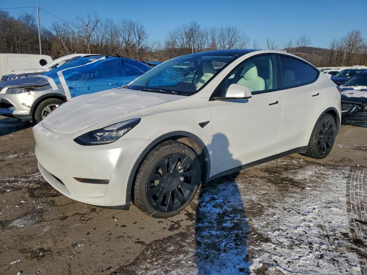 2021 TESLA MODEL Y