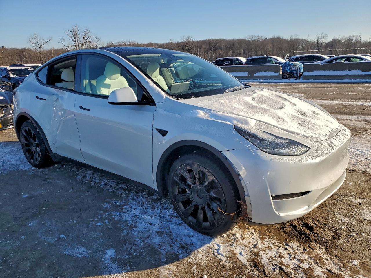 2021 TESLA MODEL Y photo 4