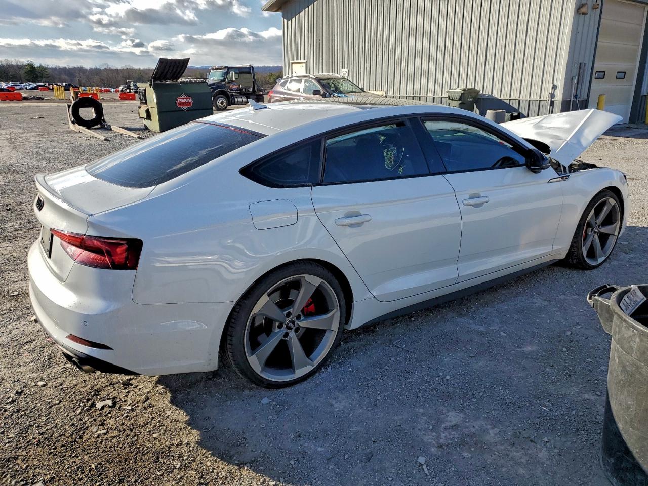 2019 AUDI S5 PREMIUM PLUS photo 3