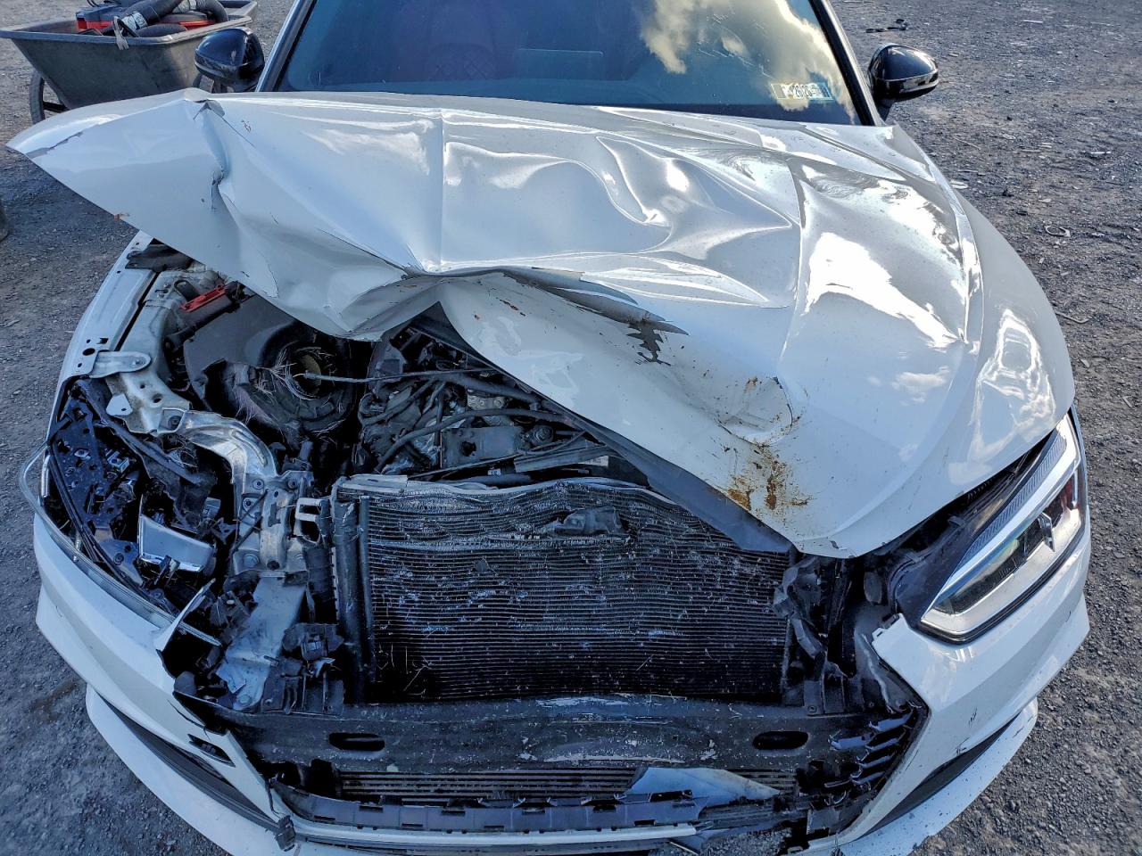 2019 AUDI S5 PREMIUM PLUS photo 11