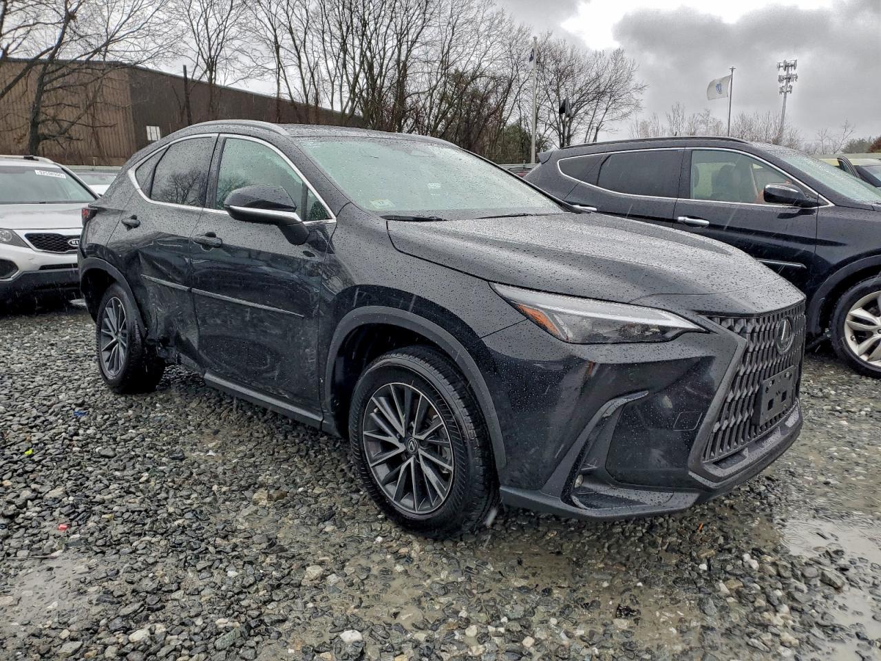 2025 LEXUS NX 250 PREMIUM photo 4