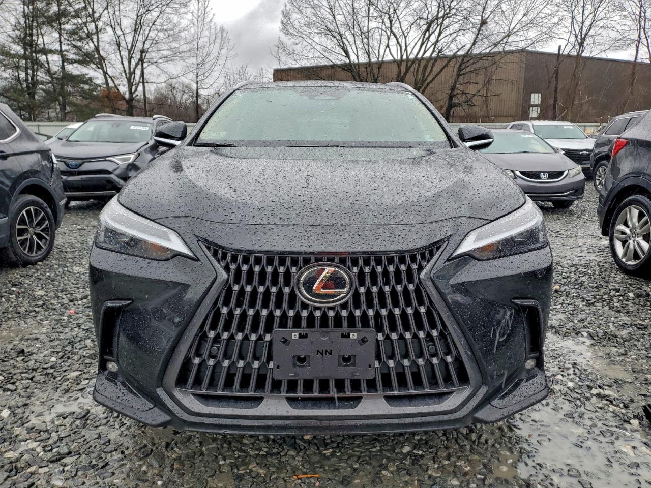 2025 LEXUS NX 250 PREMIUM photo 5