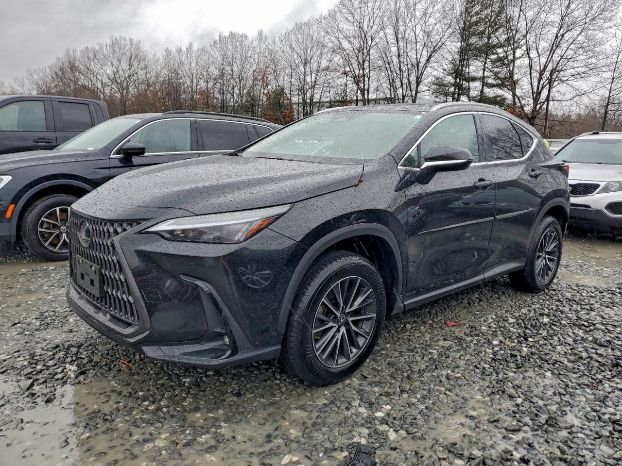 2025 LEXUS NX