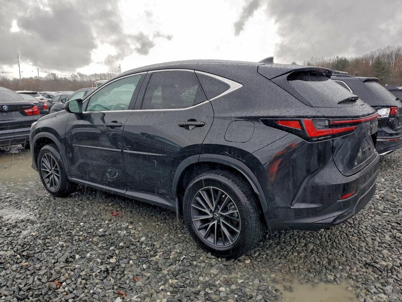 2025 LEXUS NX 250 PREMIUM photo 2