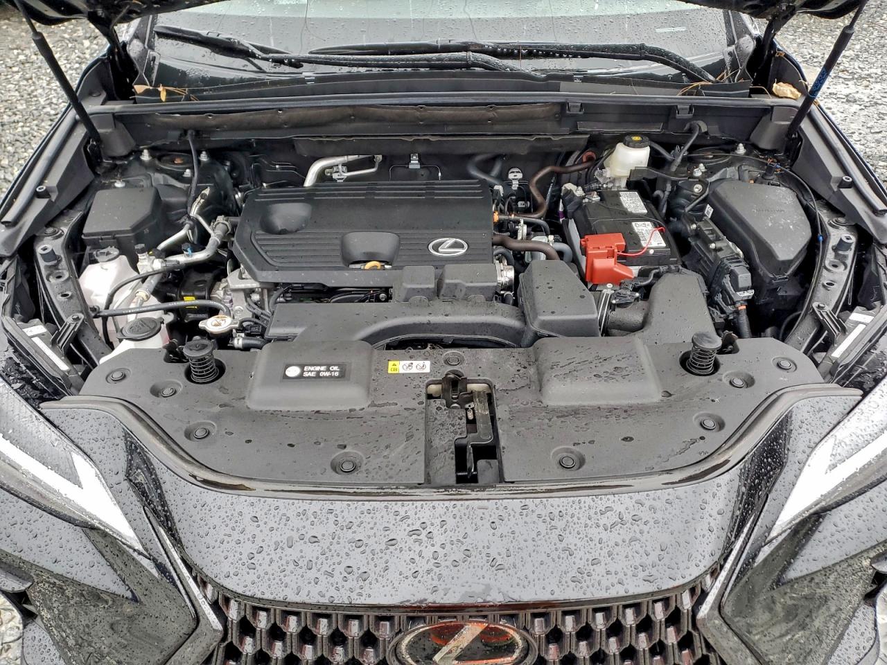 2025 LEXUS NX 250 PREMIUM photo 12