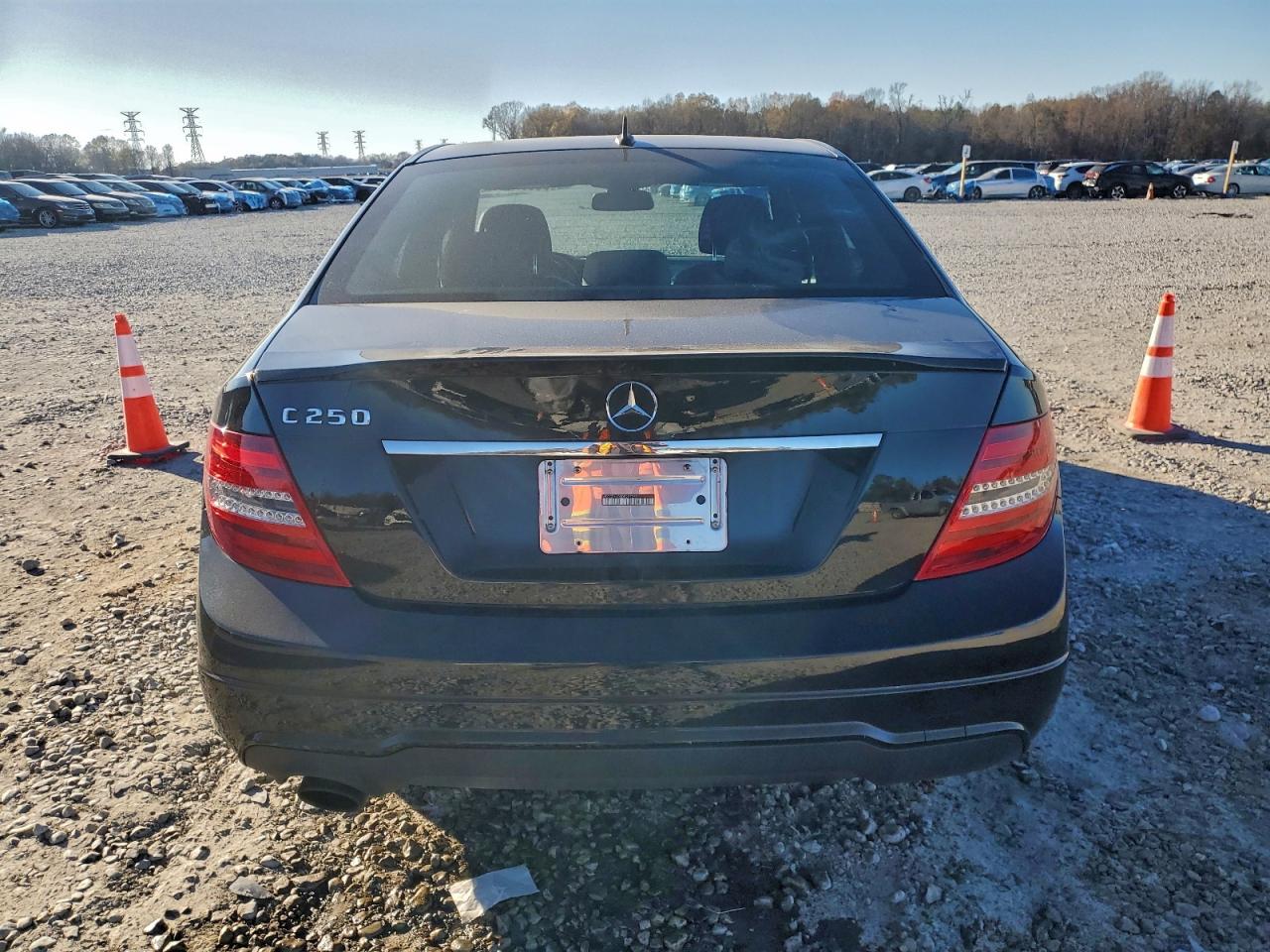 2013 MERCEDES-BENZ C 250 photo 6
