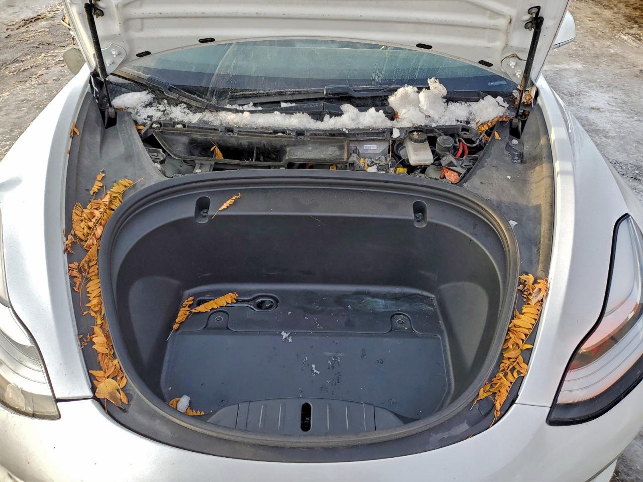 2020 TESLA MODEL 3 photo 11