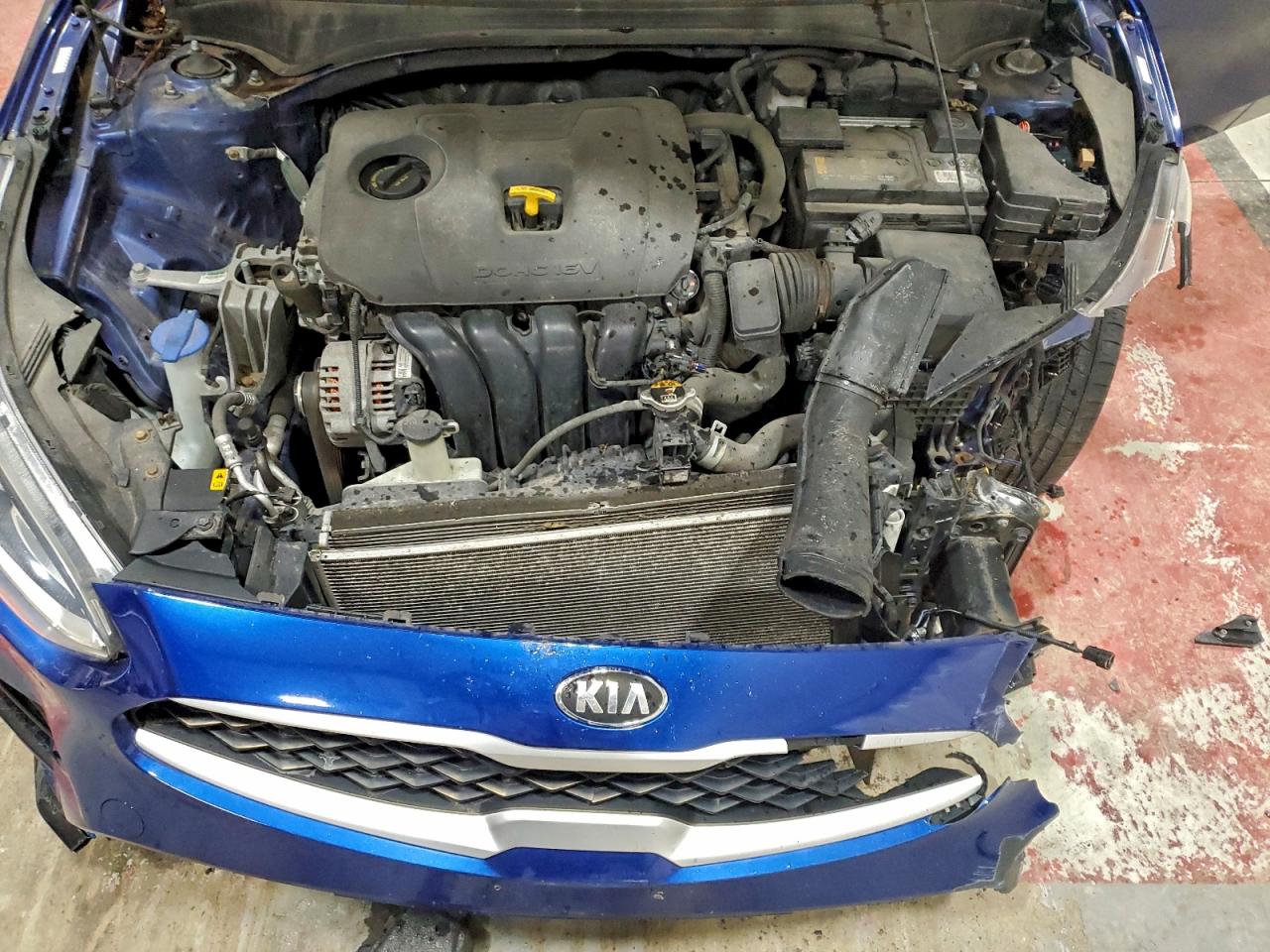 2019 KIA FORTE FE photo 12