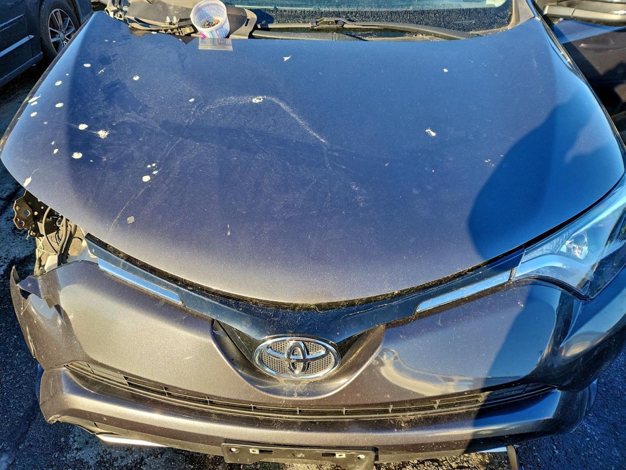 2016 TOYOTA RAV4 XLE photo 12