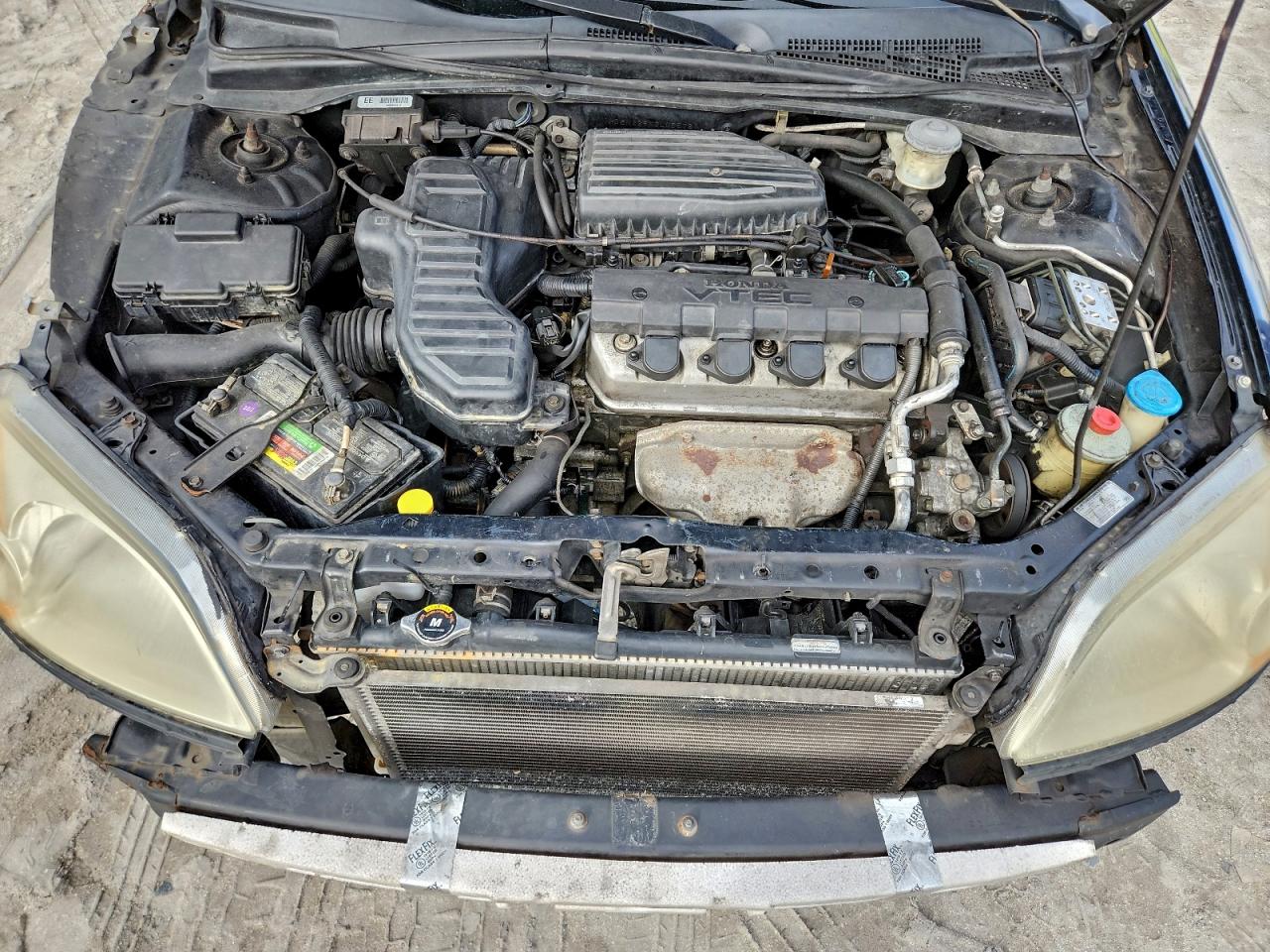 2003 HONDA CIVIC EX photo 11