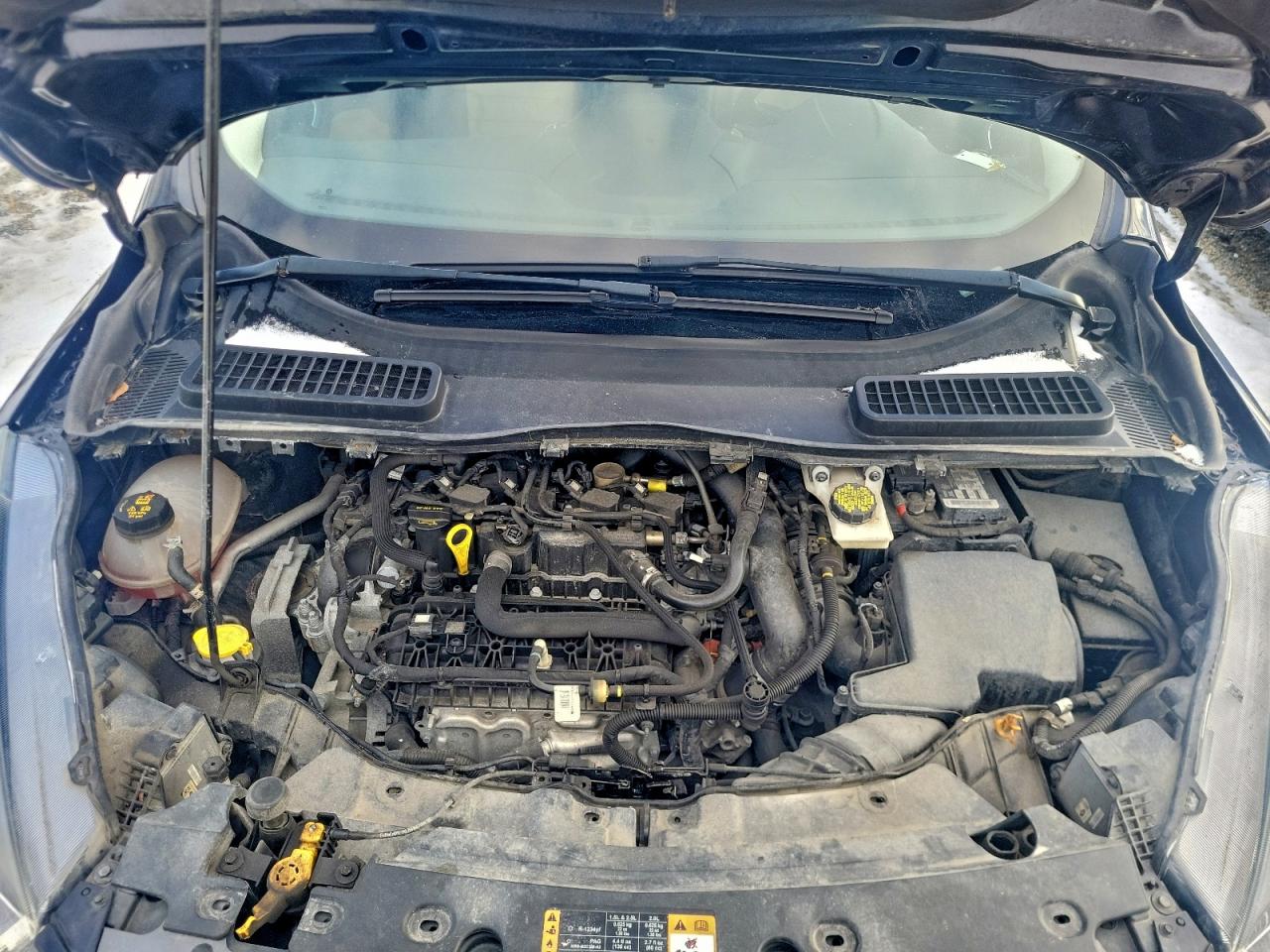 2019 FORD ESCAPE SEL photo 12