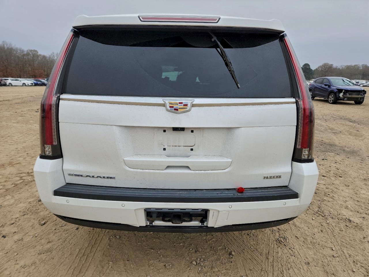 2019 CADILLAC ESCALADE ESV LUXURY photo 6