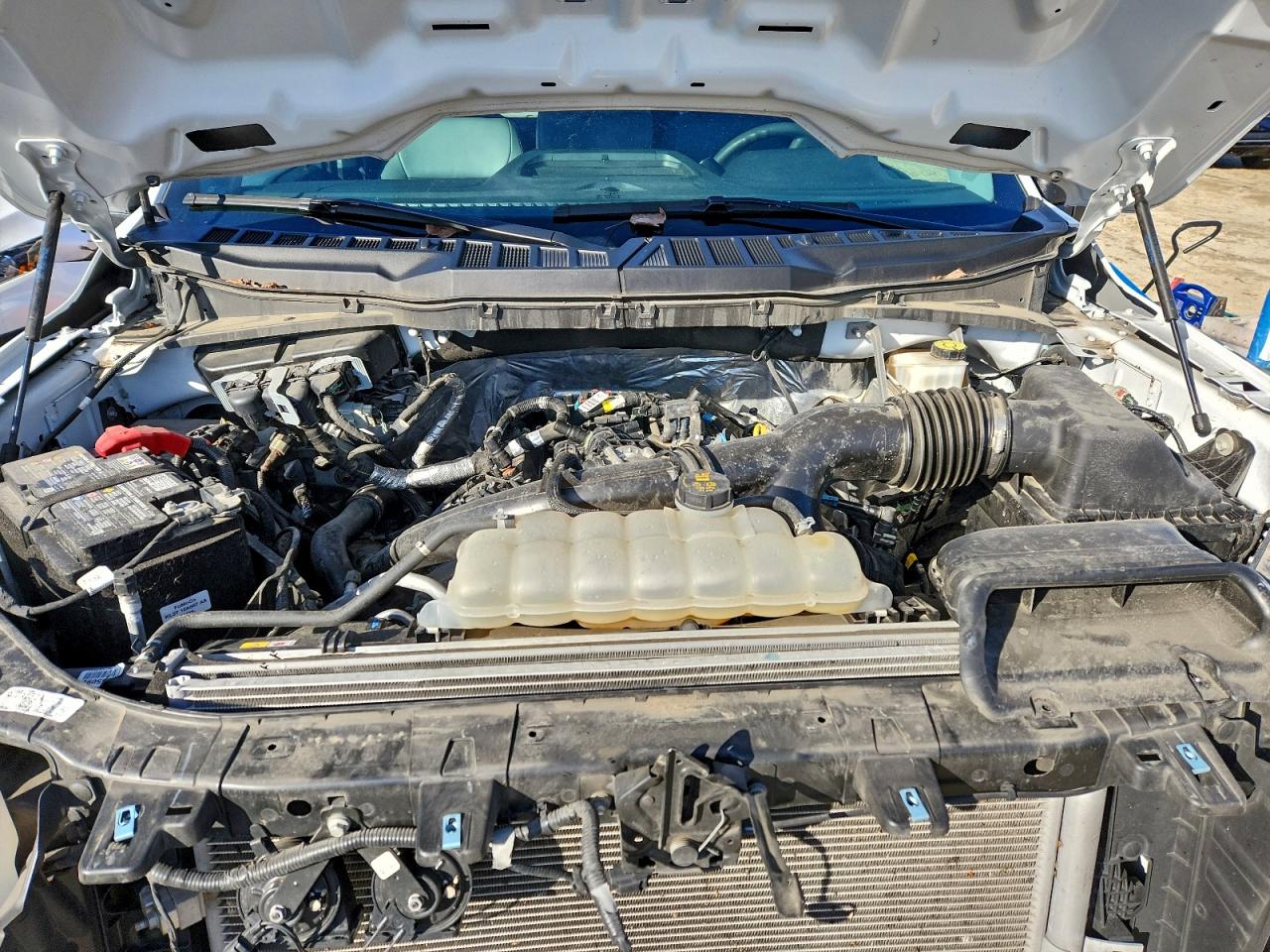 2024 FORD F150 XL photo 11