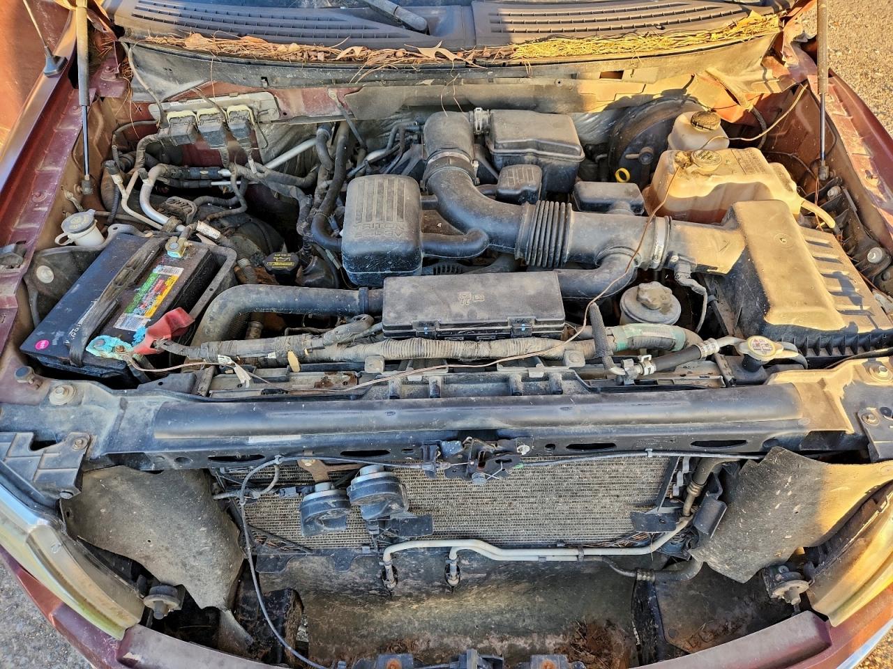 2009 FORD F150 SUPERCREW photo 11