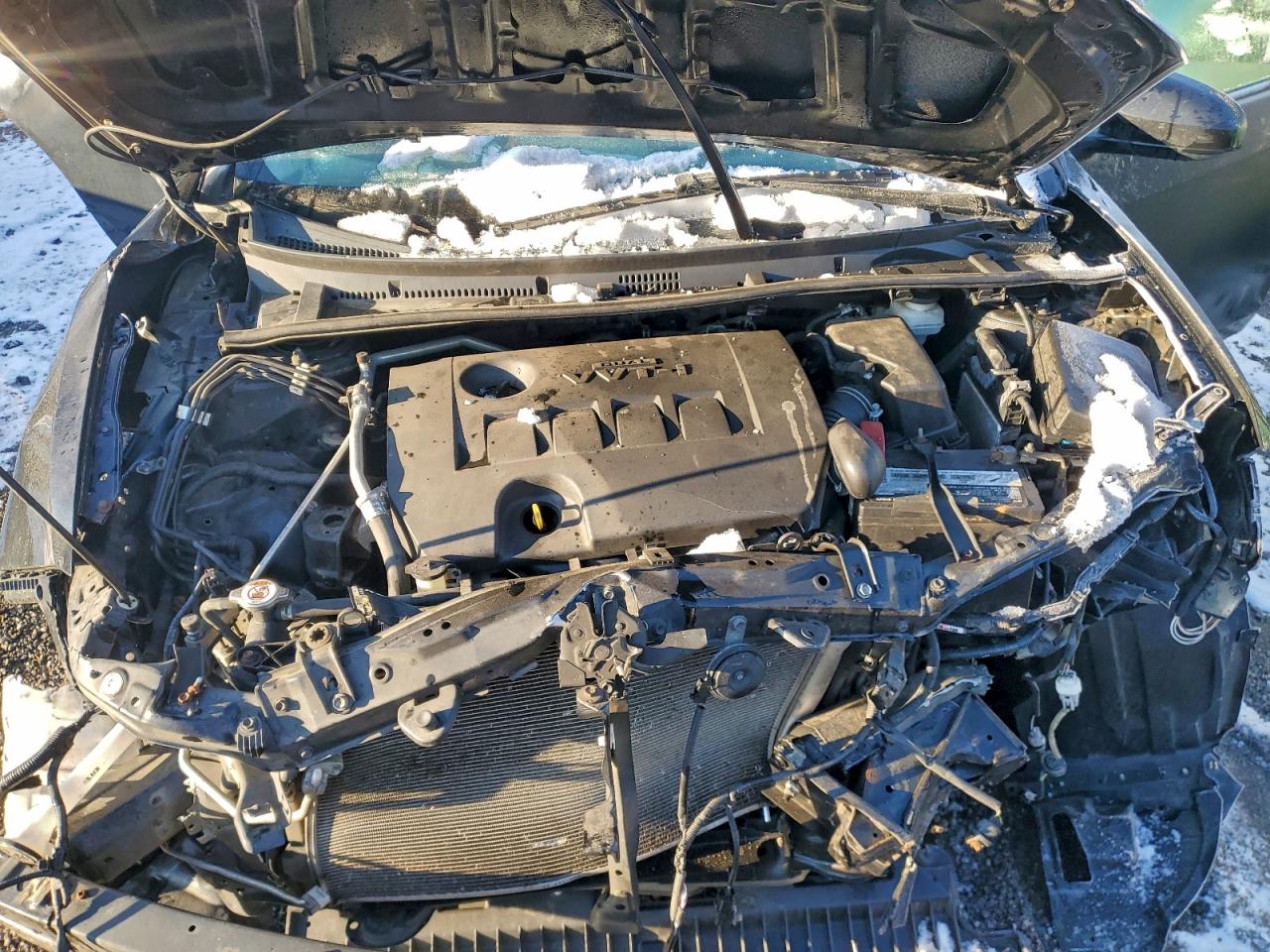 2019 TOYOTA COROLLA L photo 11