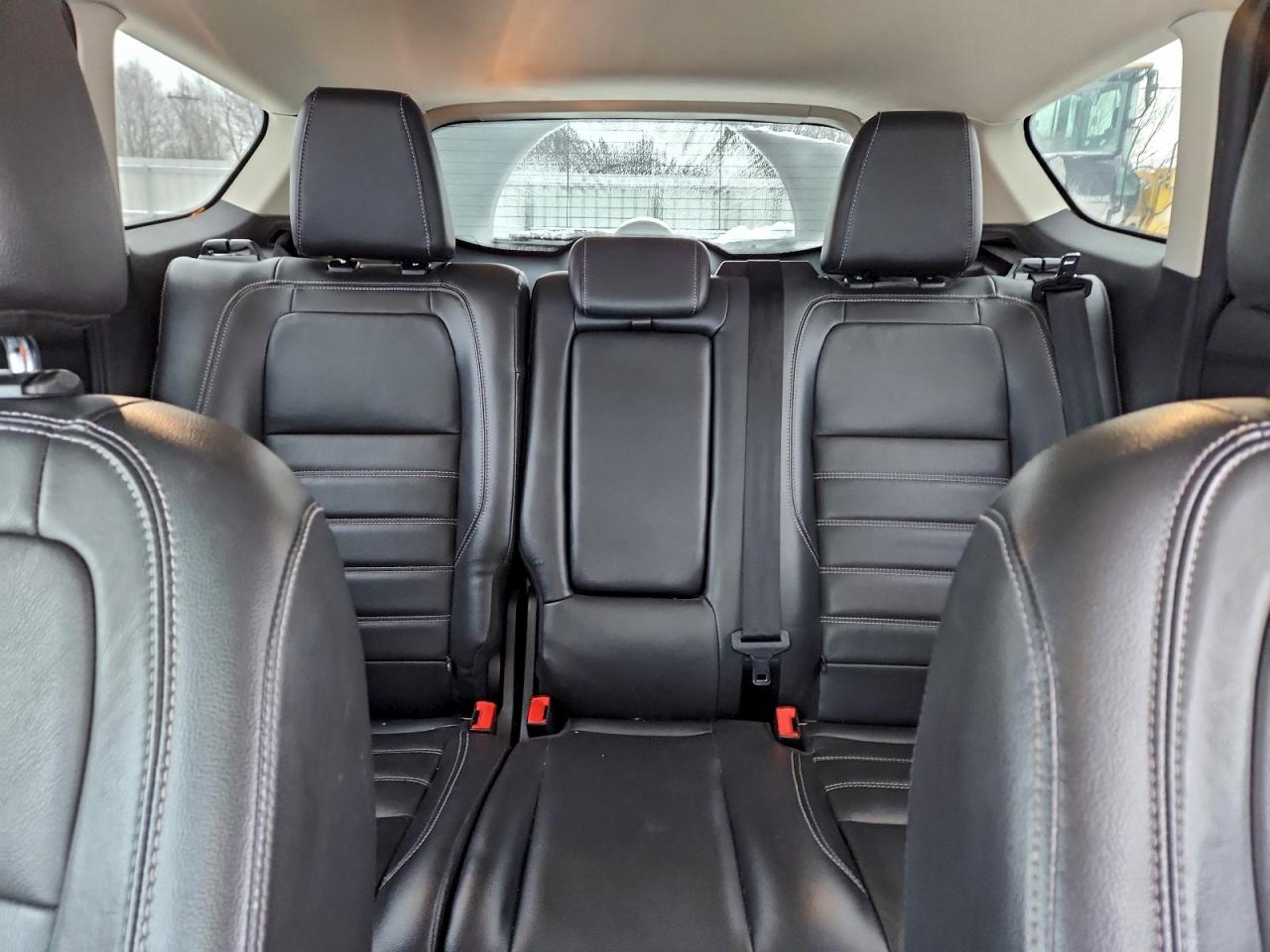 2017 FORD ESCAPE TITANIUM photo 10