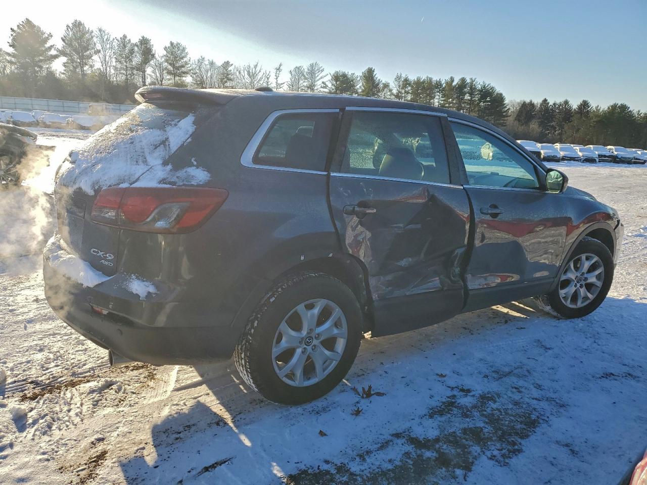 2013 MAZDA CX-9 TOURING photo 3