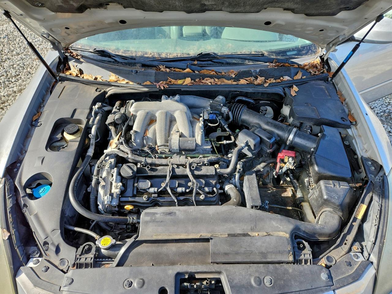 2007 NISSAN MAXIMA SE photo 11