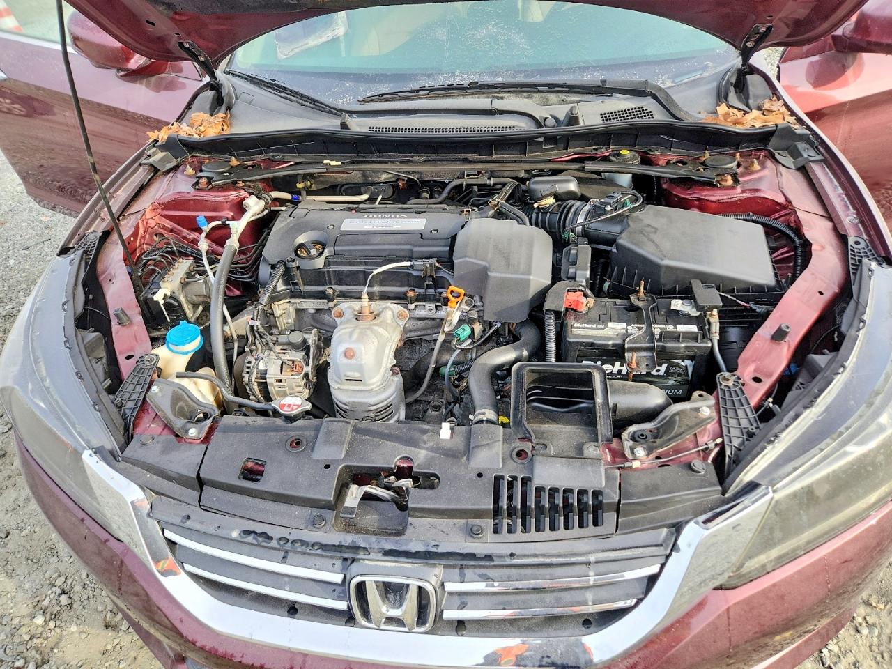 2013 HONDA ACCORD EXL photo 11