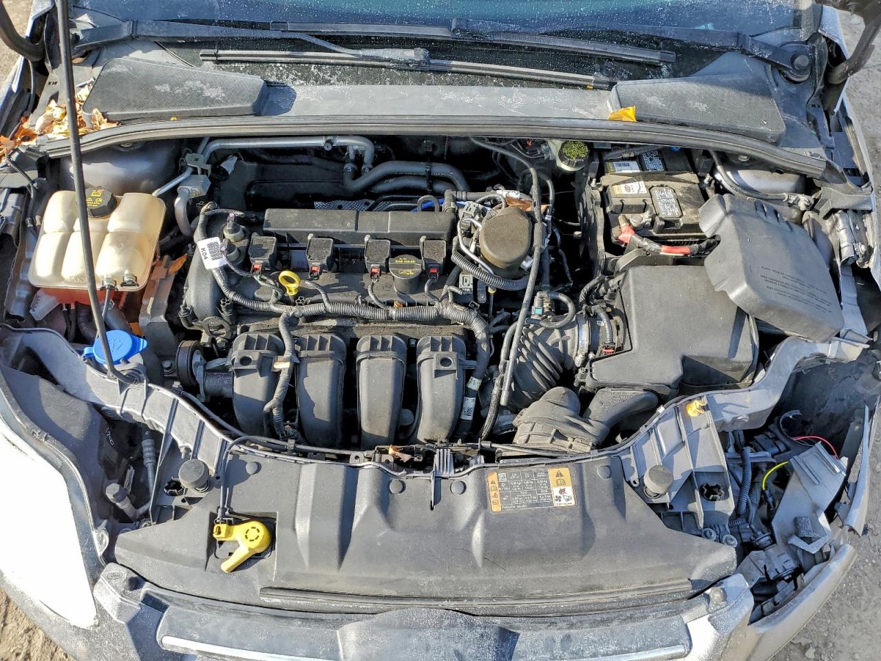 2014 FORD FOCUS SE photo 11