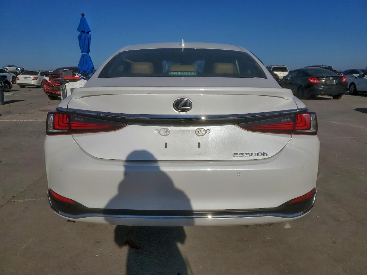 2023 LEXUS ES 300H BASE photo 6