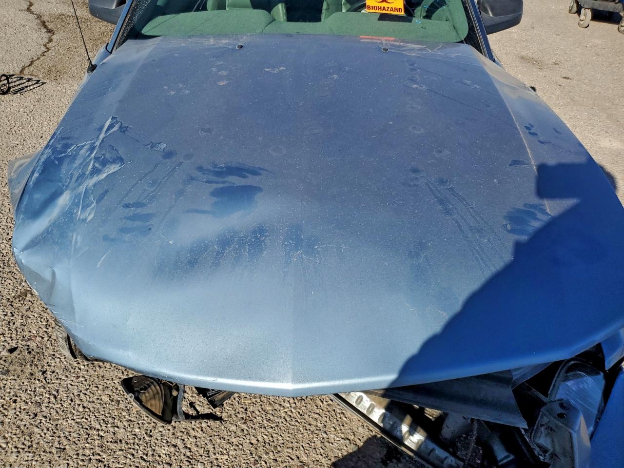 2005 FORD MUSTANG GT photo 11