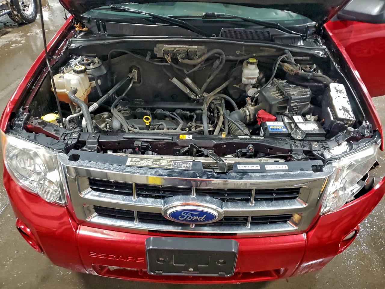 2011 FORD ESCAPE XLT photo 12