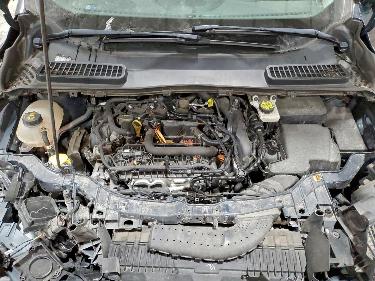 2019 FORD ESCAPE SE photo 12