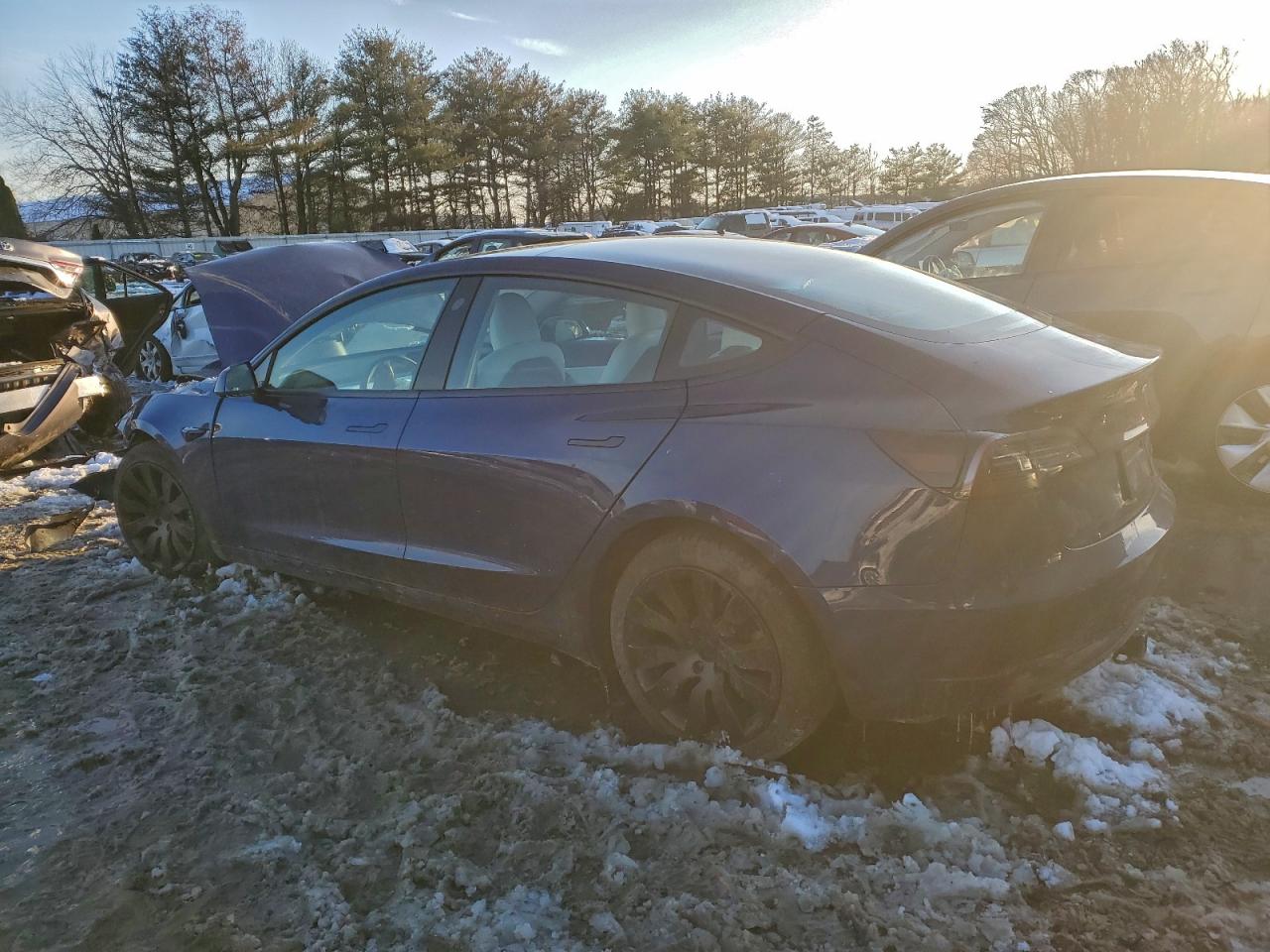 2021 TESLA MODEL 3 photo 2