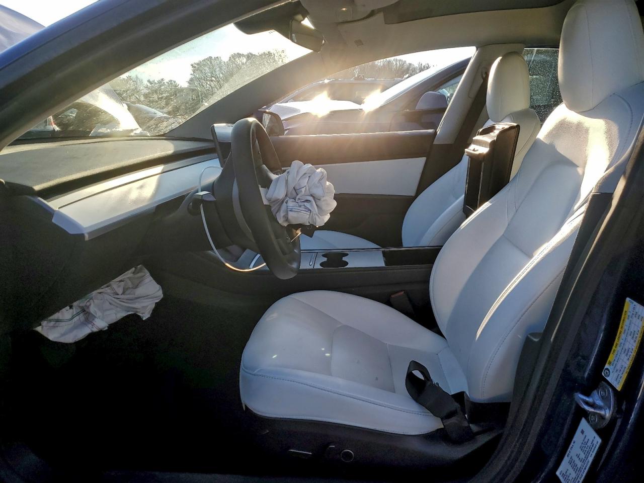 2021 TESLA MODEL 3 photo 7