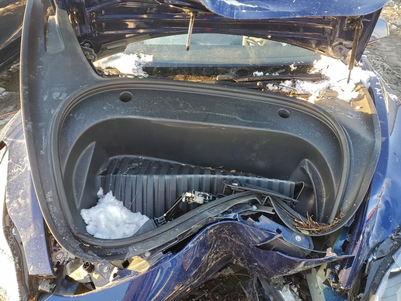2021 TESLA MODEL 3 photo 11