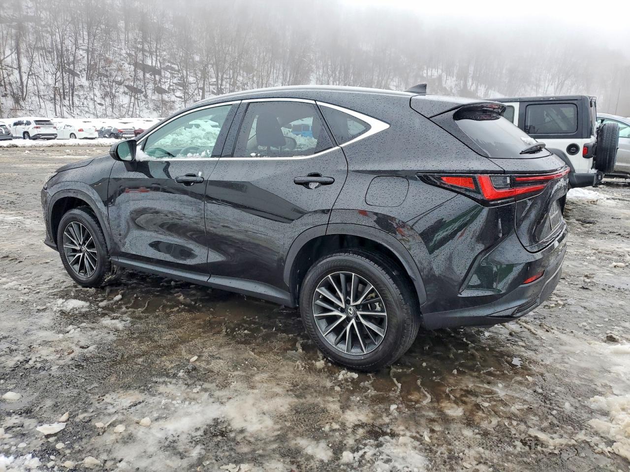 2023 LEXUS NX 250 photo 2