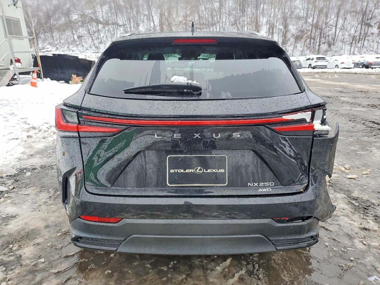2023 LEXUS NX 250 photo 6