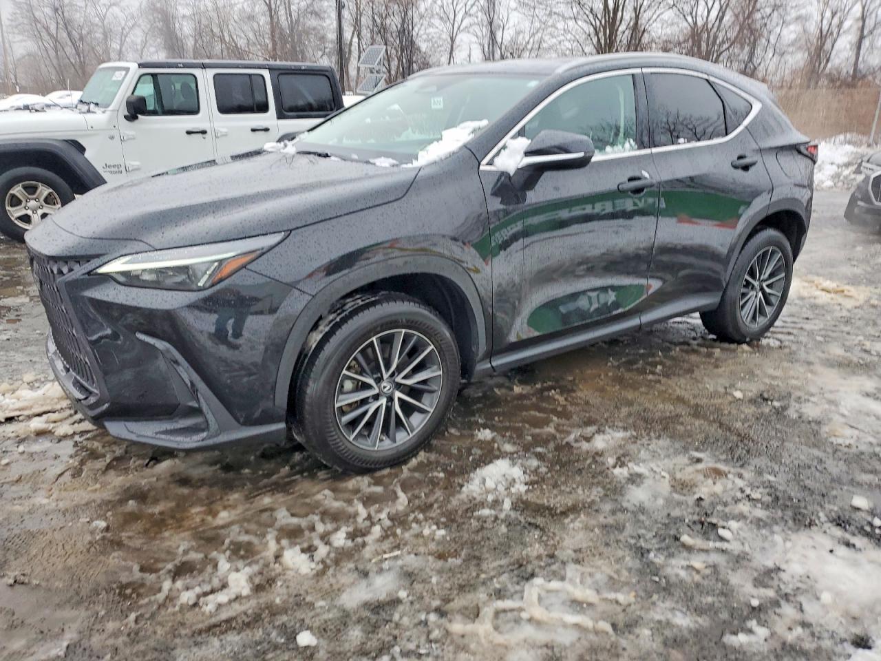 2023 LEXUS NX