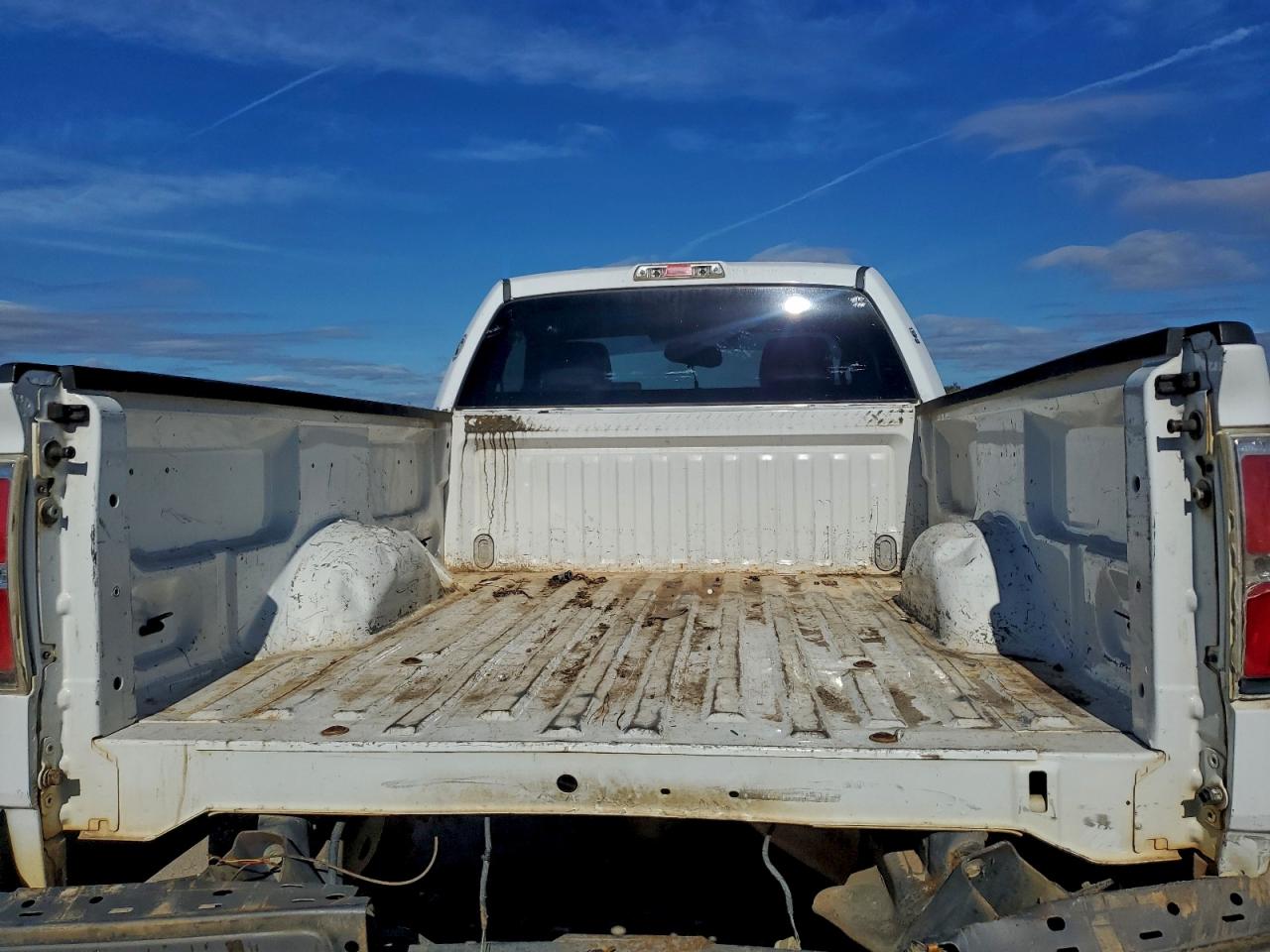 2010 FORD F150 photo 10