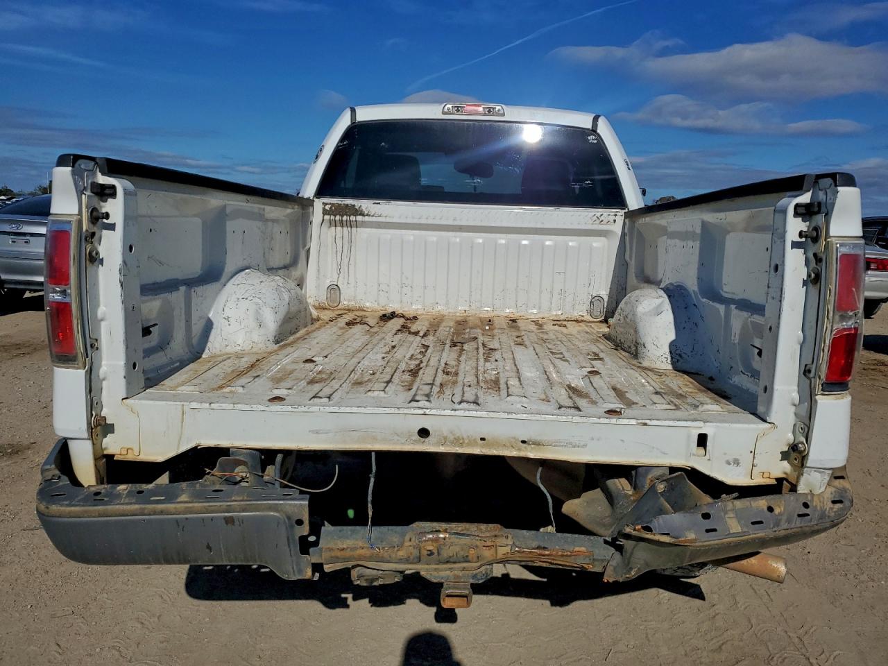 2010 FORD F150 photo 6