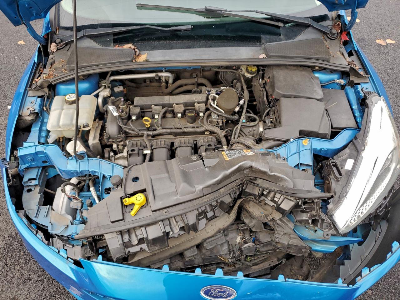 2015 FORD FOCUS SE photo 11