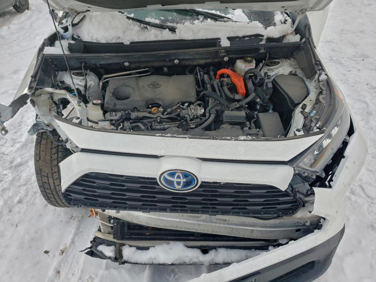 2024 TOYOTA RAV4 LE photo 12